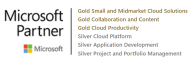 Gold Partner