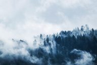 Nuages sur les forêts